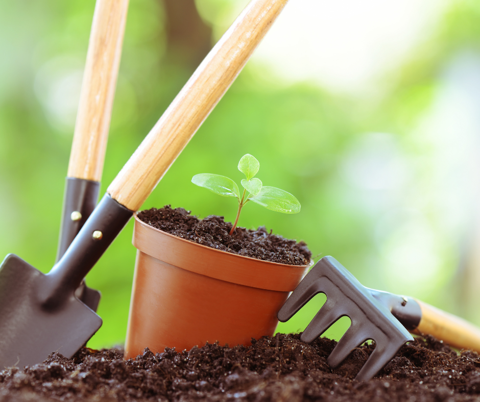 Gardening in Delaware: What to Plant in March